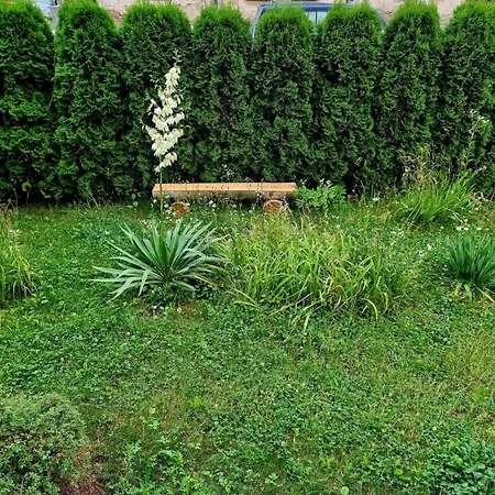 Lux Lemon Apartament Jelenia Góra