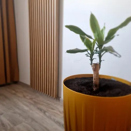 Lux Lemon Apartman Jelenia Góra
