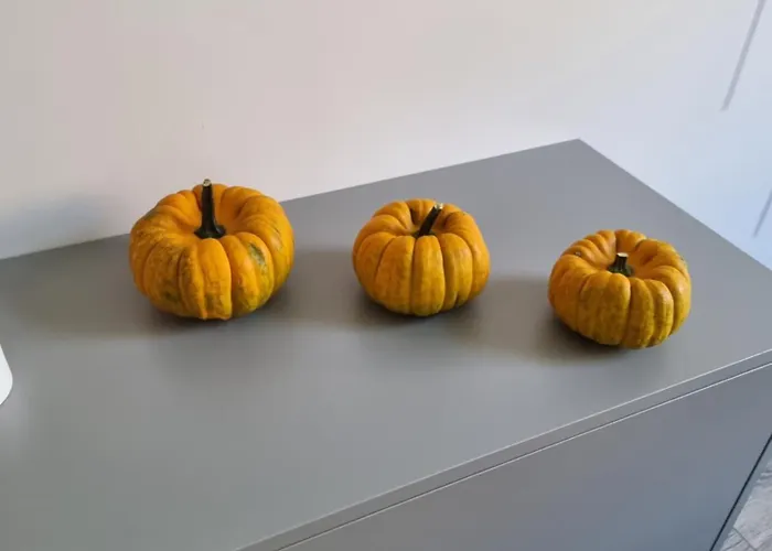 Apartman Lux Lemon *