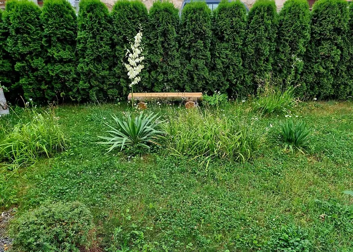 Lux Lemon Apartman Jelenia Góra