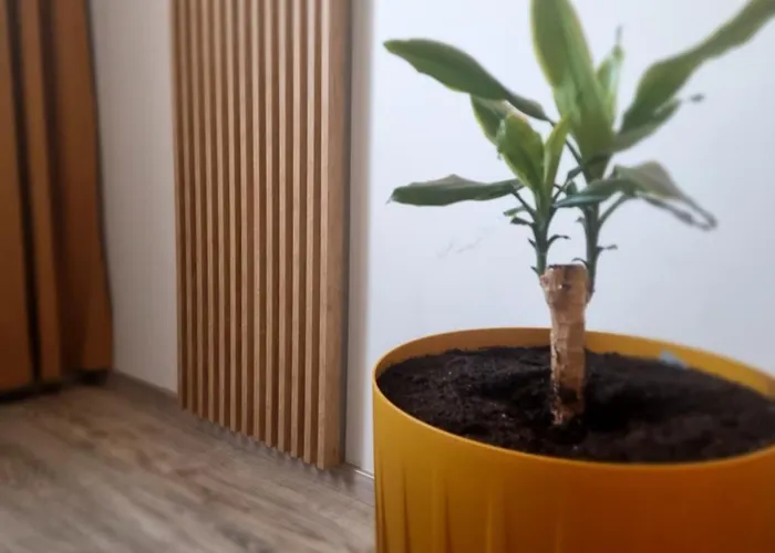 Lux Lemon Apartman Jelenia Góra